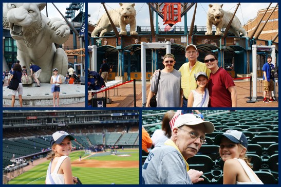 2015 Tigers Game
